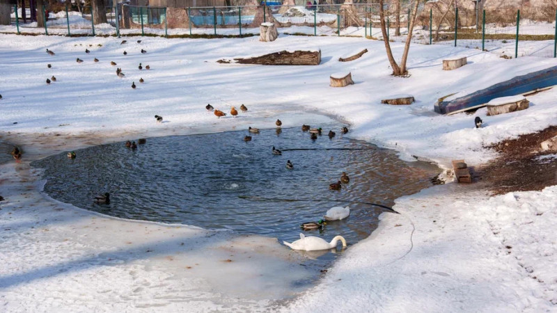 Фото © Tengrinews.kz