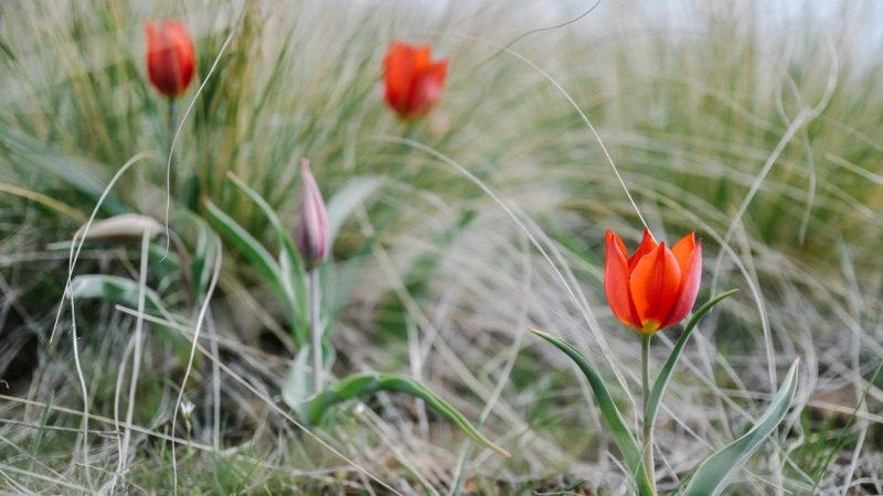 Фото © Турар Казангапов