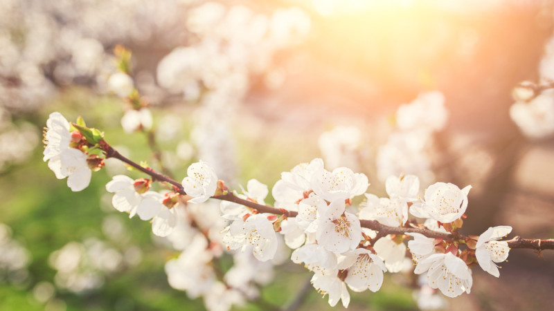 Фото:depositphotos.com