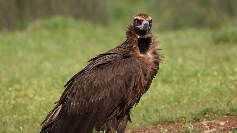 Фото:depositphotos.com
