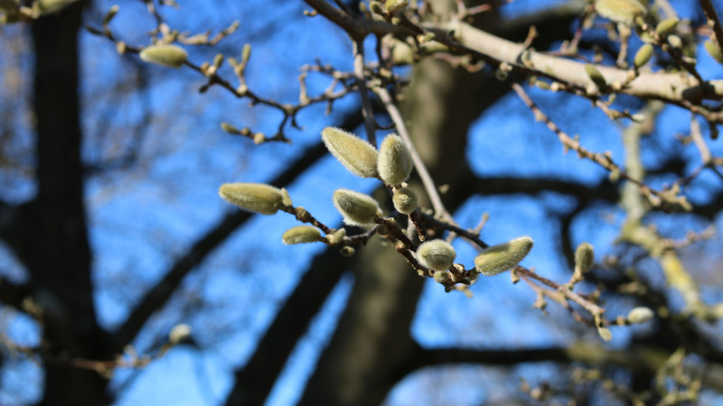 Фото:depositphotos.com