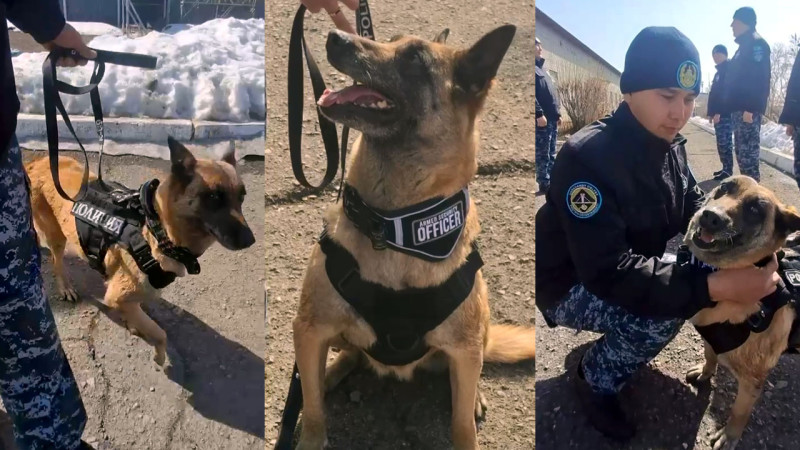 Кадры из видео