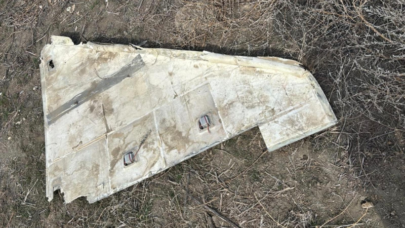 Фото: соцсети