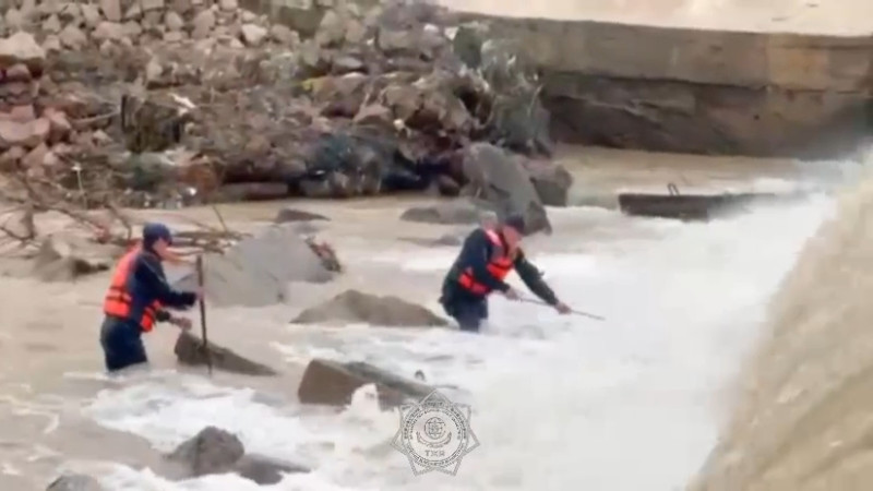 Кадры из видео