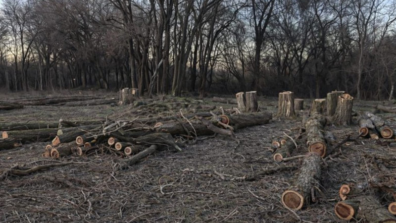 Кадр из видео