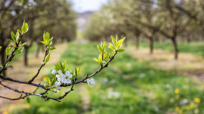 Фото:depositphotos.com
