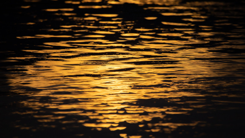 Фото:depositphotos.com