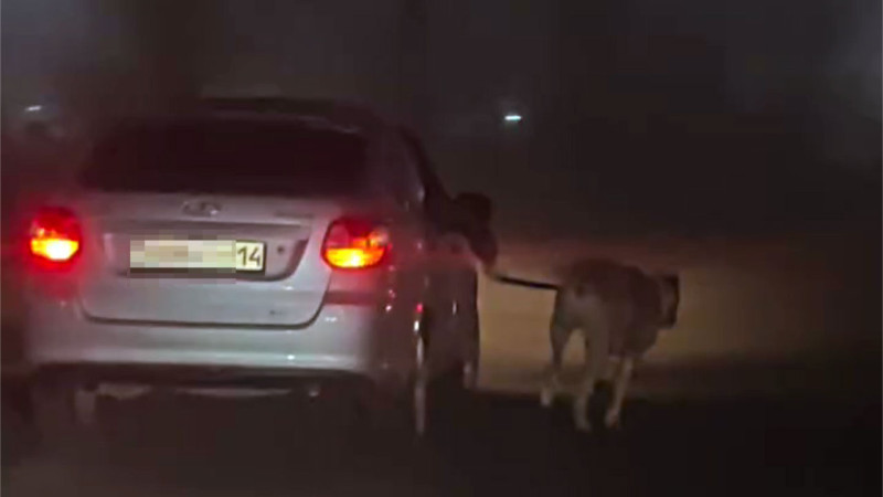 Кадр из видео