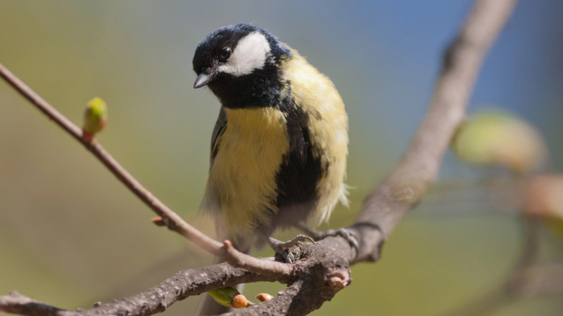 Фото:depositphotos.com