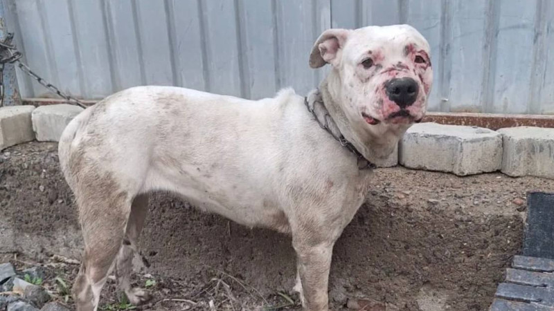 Фото из социальных сетей