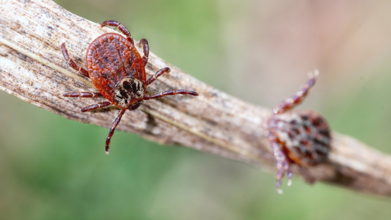 Фото:depositphotos.com