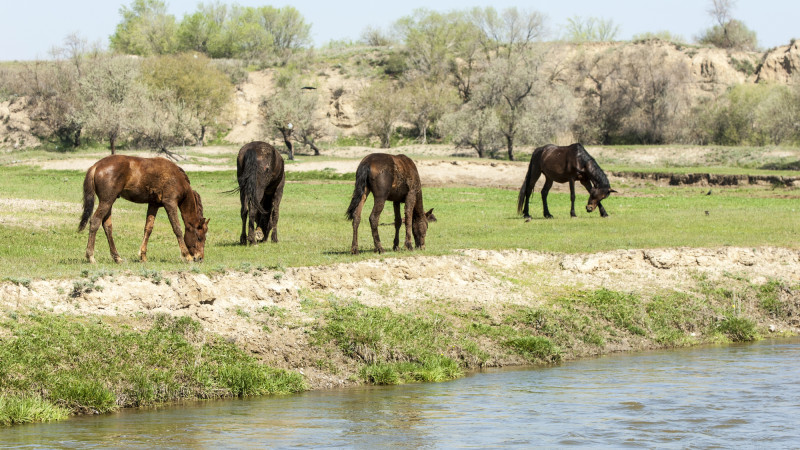 Фото:depositphotos.com