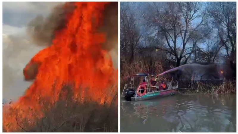 Кадры из видео