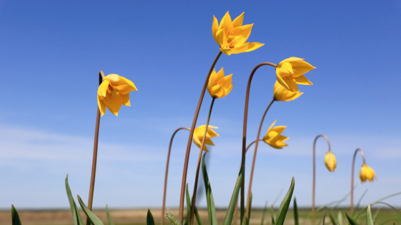 Фото:depositphotos.com