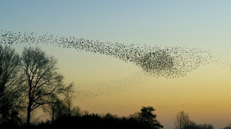 Фото:depositphotos.com