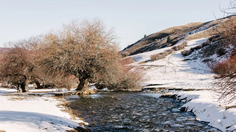 Фото © Tengrinews.kz