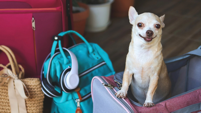 Фото:depositphotos.com