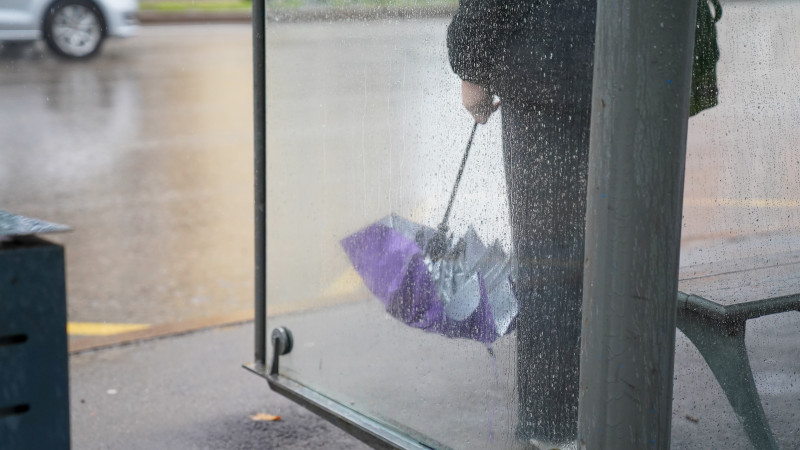 Фото © Tengrinews.kz / Болат Айтмолда