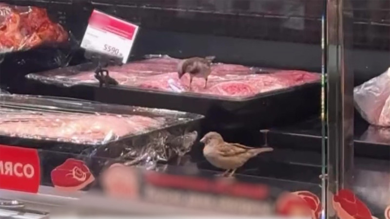 Кадр из видео