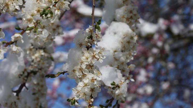 Фото:depositphotos.com