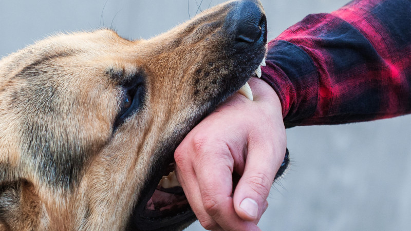 Фото:depositphotos.com