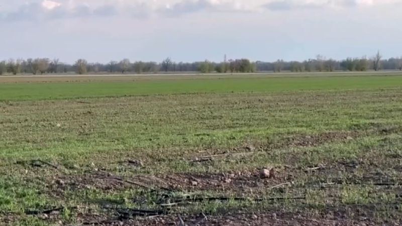 Кадры из видео