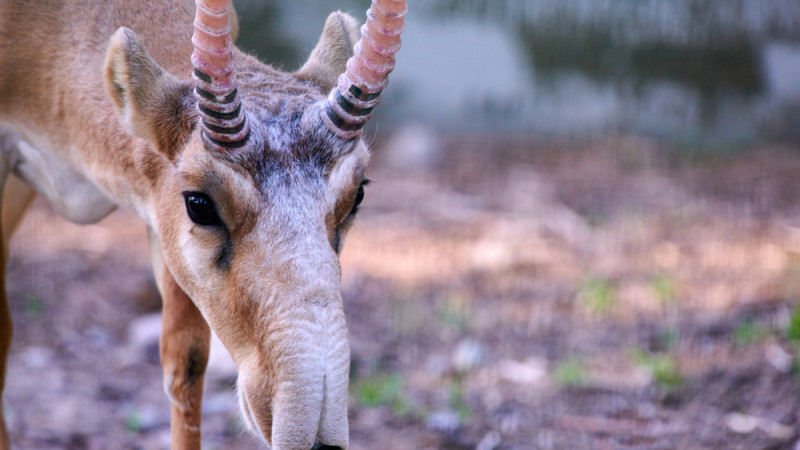 Фото:depositphotos.com