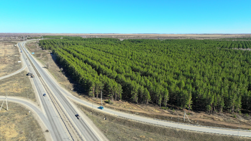 Фото: акимат Костанайской области