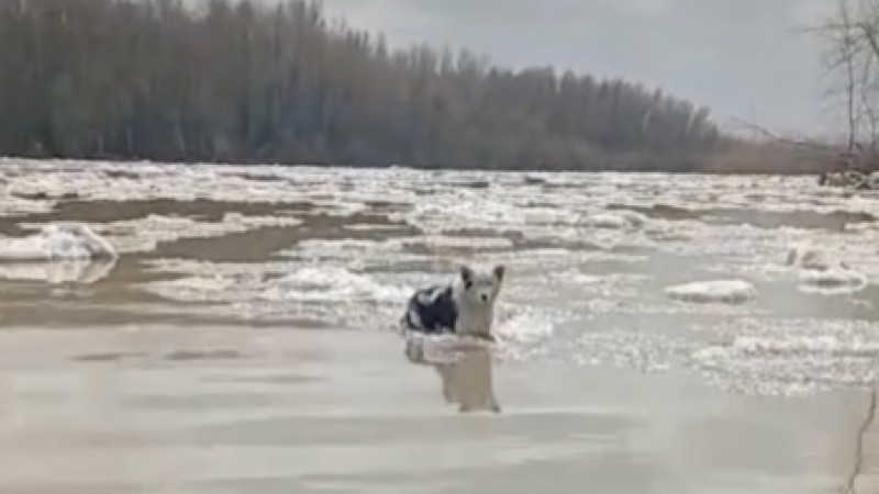 Кадры из видео/Instagram