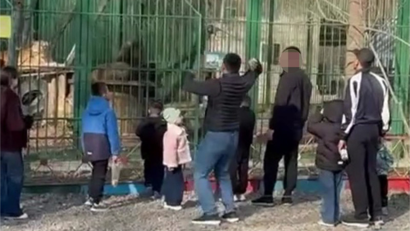 Кадр из видео