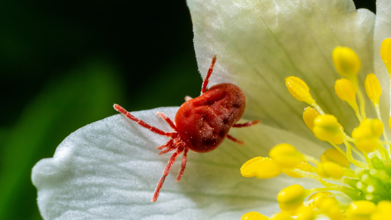 Фото:depositphotos.com