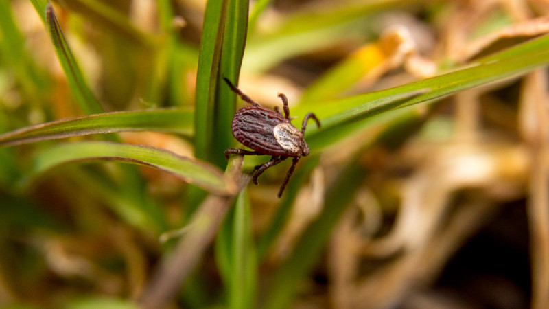 Фото:depositphotos.com