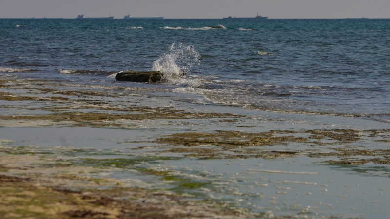 Фото © Турар Казангапов