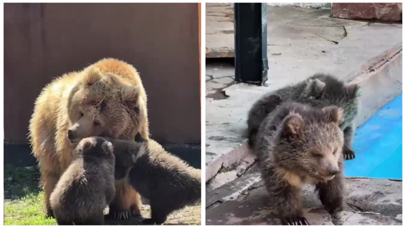 Кадры из видео