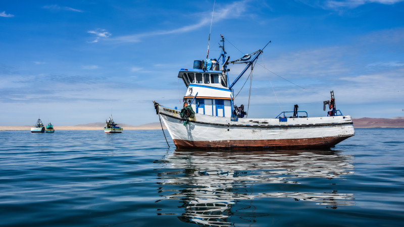 Иллюстративное фото:depositphotos.com