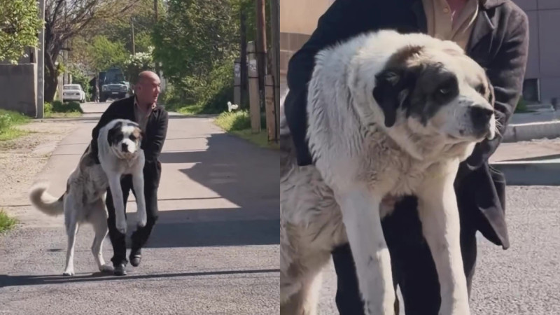 Кадры из видео