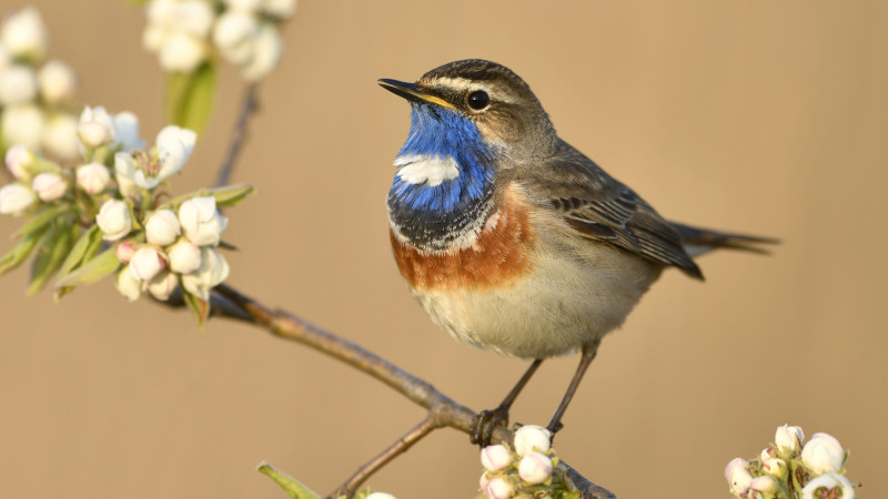 Фото:depositphotos.com