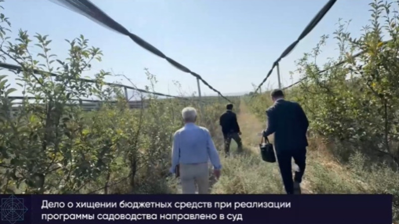 Кадр из видео