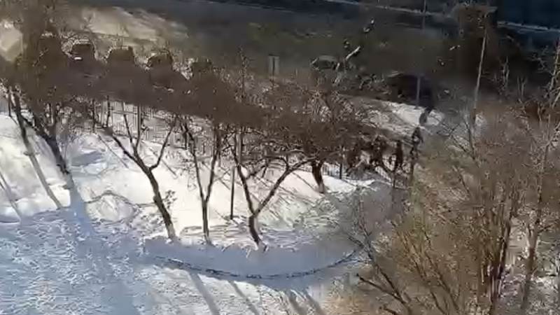 Кадр из видео