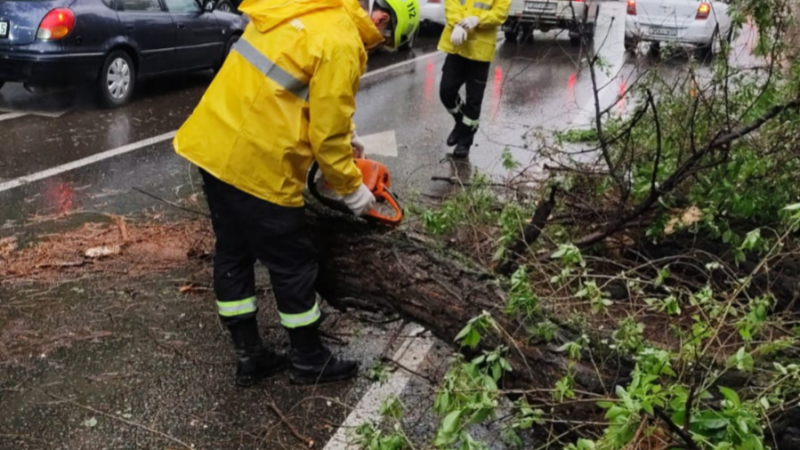 Фото предоставлено пресс-службой МЧС Алматы