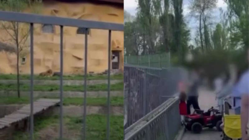 Кадры из видео