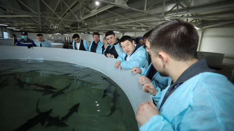 Фото: пресс-служба акима Мангистауской области