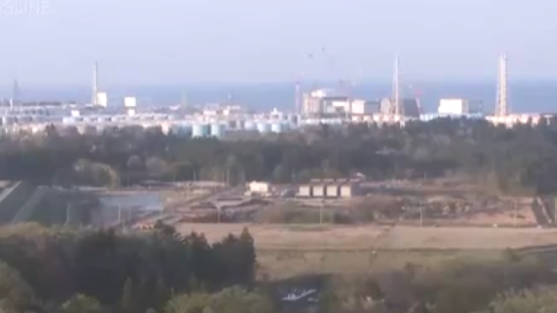 Кадры из видео/NHK