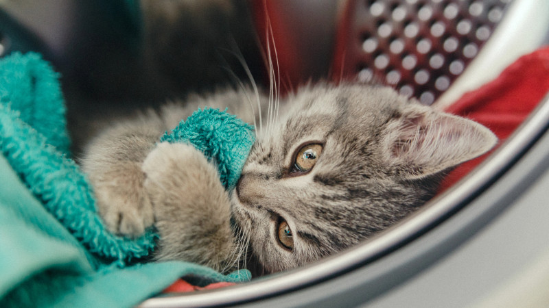 Иллюстративное фото:depositphotos.com