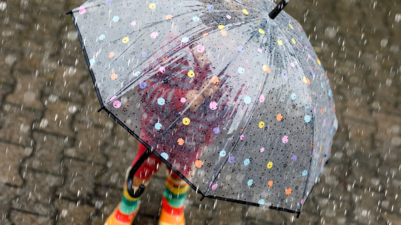 Фото:depositphotos.com