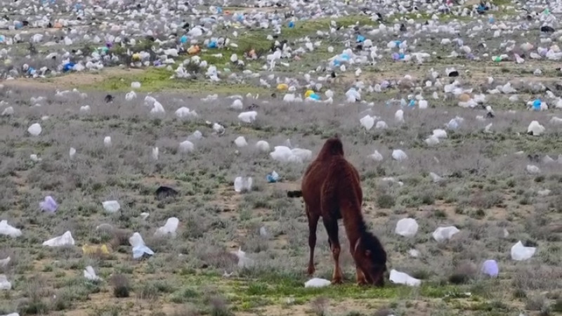 Кадр из видео Азамат Сарсенбаев