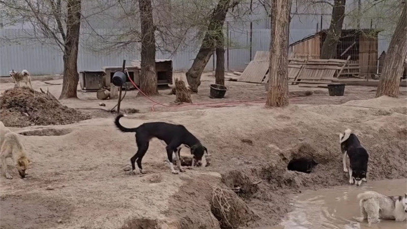 Кадр из видео