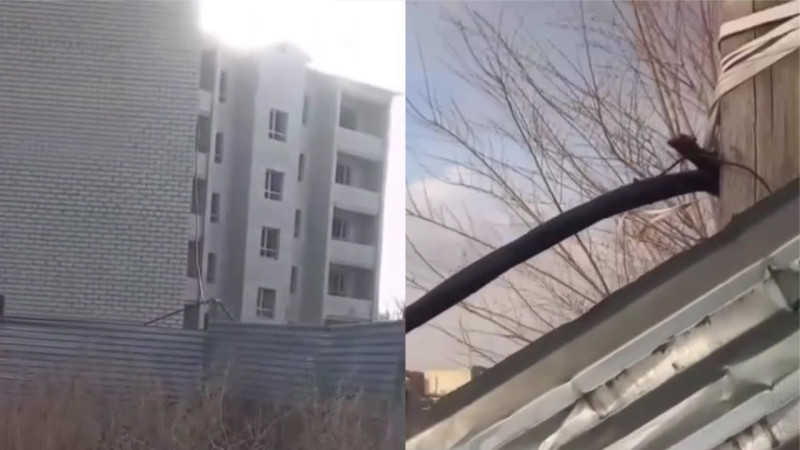 Кадры из видео