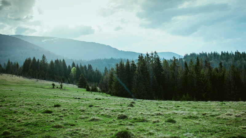 Фото:depositphotos.com