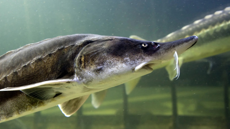 Фото: depositphotos.com